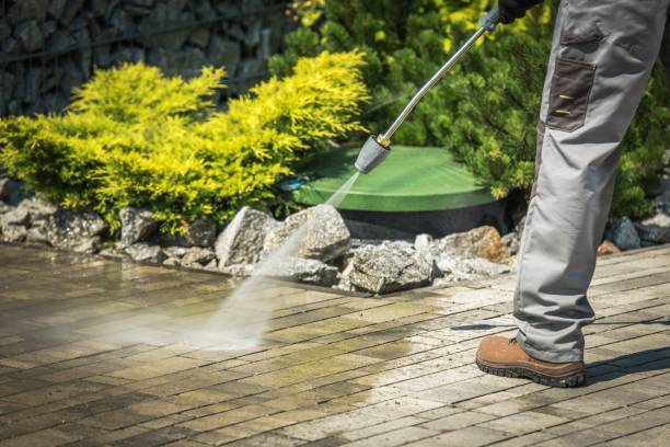 Best Animal Enclosure Cleaning  in Crystal Lake, FL